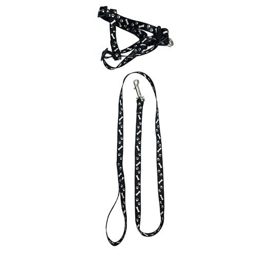 Dog correa with harness, dog leash with harness set