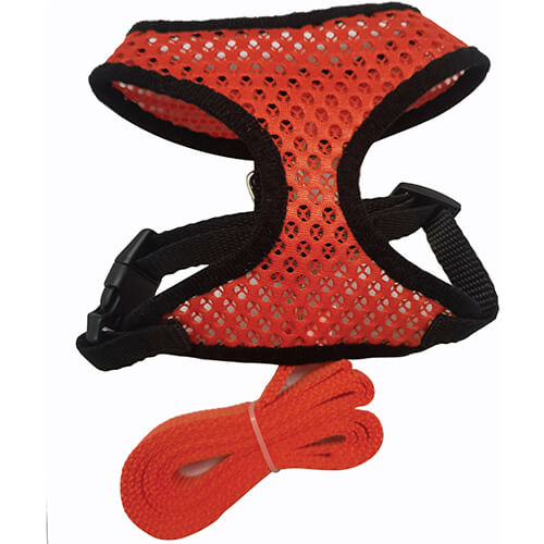 Pet harness with leash set