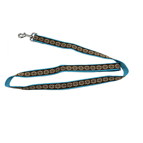 Dog leash, dog correa