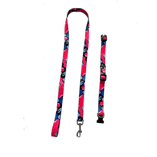 Dog leash & harness