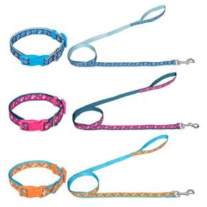 Dog leash & harness