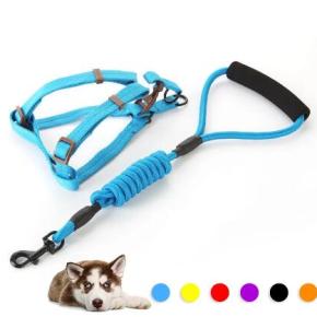 Dog leash & harness