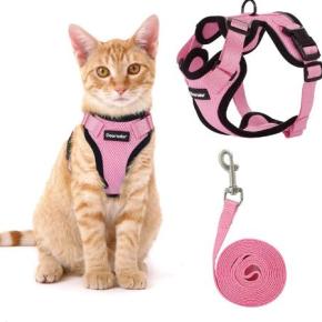 Cat harness and leash 